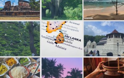 8 good reasons to visit the island of Sri Lanka !